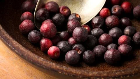 Phalsa - Grewia asiatica Foto stock