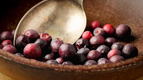 Phalsa - Grewia asiatica Foto stock
