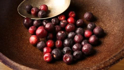 Phalsa - Grewia asiatica Foto stock