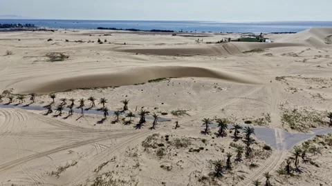 Phan Rang Coastal Sand Dunes Stretching to Turquoise Sea Vietnam Stock Footage 332843163
