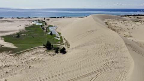 Phan Rang Sand Dunes Dune Lake Cattle Grassland Vietnam Stock Footage 332837976
