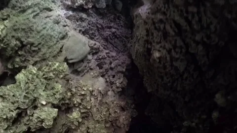Phang Nga Bay Cave Stock-Footage 75286184