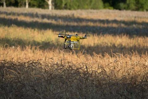 Phantom 3 professional Stock-Fotos
