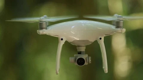 Phantom drone hovering in front of foliage of Redwood forest Stock Footage 73025753
