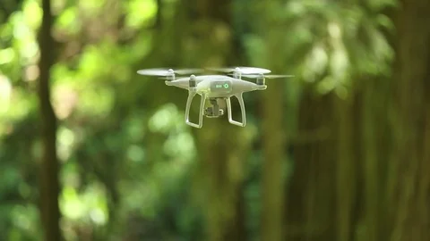 Phantom drone hovering in front of foliage of Redwood forest Stock Footage 73025755
