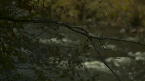 Phantom Flex 4k of Creek Stock Footage 60720041
