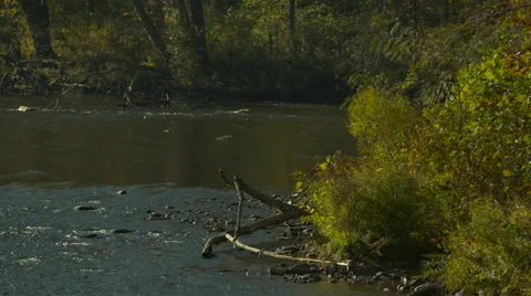 Phantom Flex 4k of Creek Stock Footage 60730112