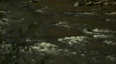 Phantom Flex 4k of Creek Stock Footage 60794093