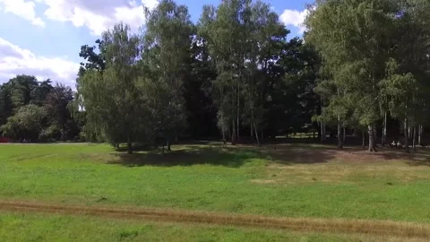 Phantom On The Fly Along A Forest 스톡 동영상 222040142