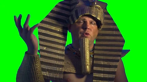 Pharaoh of Egypt The man in the suit Ancient Egyptian pharaoh Video stock 327474618