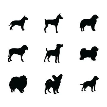 Pharaoh Hound Elegant Silhouette – Ancient Egyptian Breed Art Stock Illustration