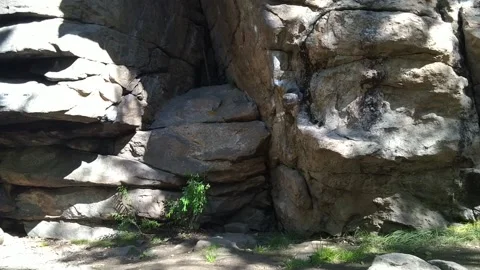 Pharaoh rock background Stock Footage 160807222