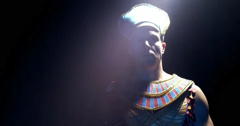 Pharaoh is standing in a beam of light in a dark room, looking up, 4k Stock Footage 135648390