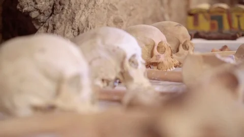 Pharaonic skulls close up Stock Footage 83728405