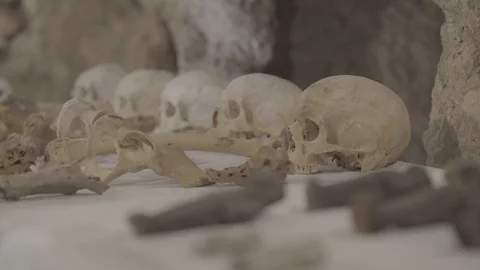 Pharaonic skulls 動画素材 93759881