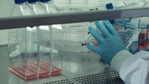 Pharmaceutical lab petri dish liquid Stock Footage 99068692