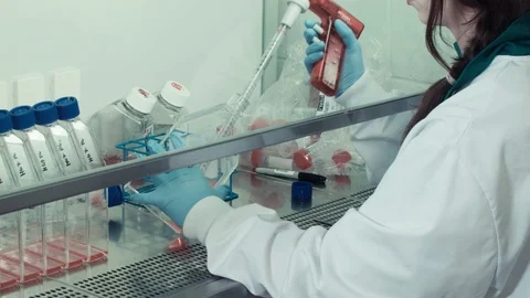 Pharmaceutical lab transferring red liquid from petri dish to test tubes Stock Footage 99068698