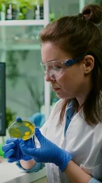 Pharmaceutical researcher analyzing solution test from petri dish Фото