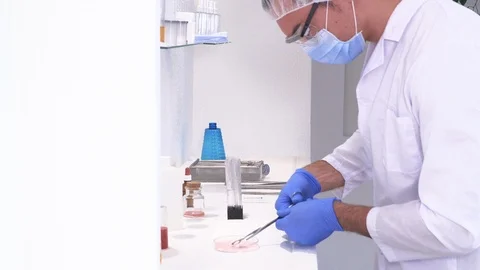 Pharmaceutical worker performs chemical analysis Stock Footage 117403458