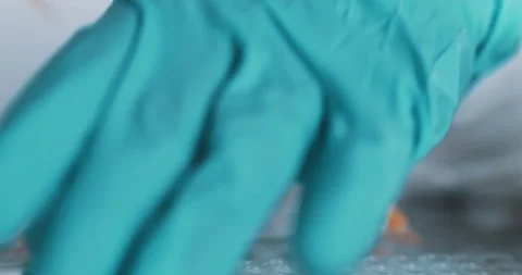 Pharmaceutics Laboratory: Pipette Dropping into Test Tubes, Medical Research 库存影片 169246049