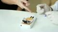 pharmacist measure cholesterol and glucose to a patient HD Footage