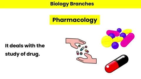 Pharmacology Stock Footage 276281439