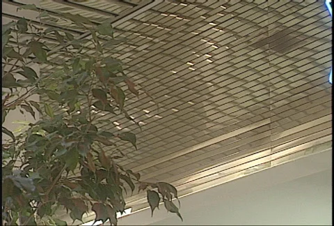 Pharmacy sign Stock Footage 150473