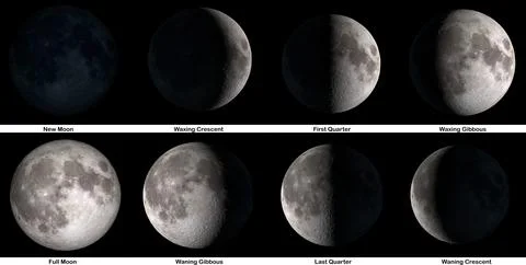 The phases of The Moon. Elements of this image were furnished by NASA. Stock Photos