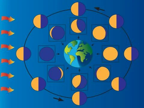 Phases of moon Stock Illustration