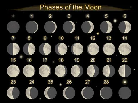 Phases of the Moon Stock Illustration