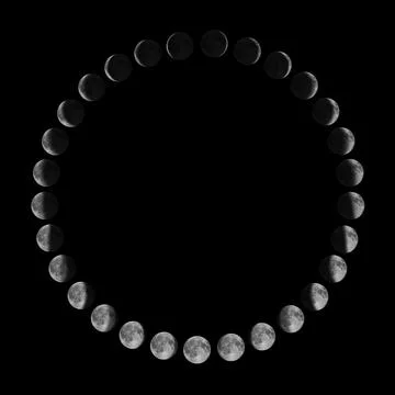 Phases of the Moon.Lunar cycle. Stock Illustration