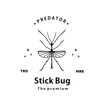 Phasmatodea stick insects logo vector outline silhouette art icon Stock Illustration