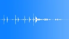 Pheasant and ShotgunSound Effect