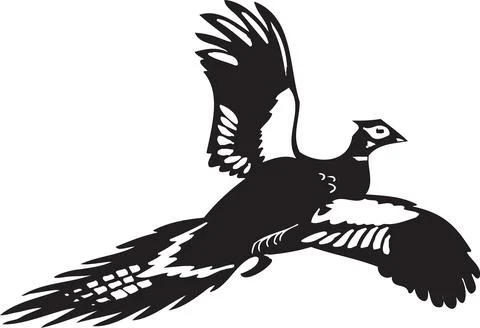 Pheasant Bird Flying Silhouette Vector Stock Illustration