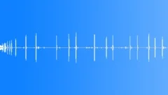 Pheasant disturbed in woods Sound Effect