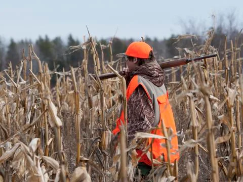 Pheasant Hunter Stock Photos