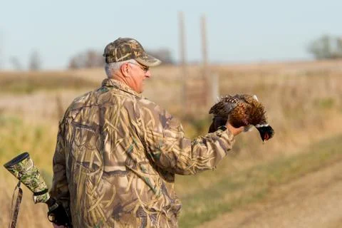 Pheasant Hunter Stock-Fotos