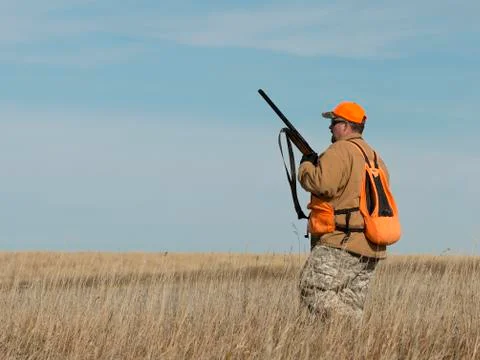 A pheasant Hunter Stock Photos