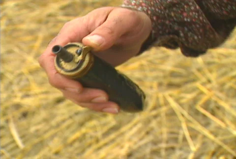 Pheasant Hunting 01 Stock Footage 505147