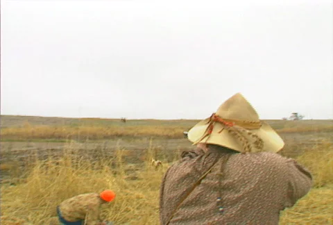 Pheasant Hunting 06 Stock Footage 505165
