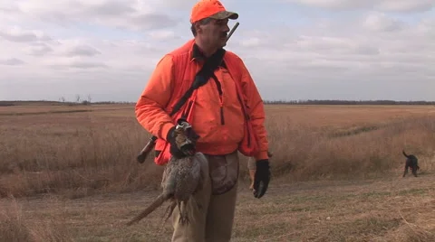 Pheasant Hunting 스톡 동영상 918390