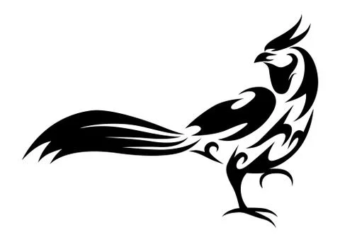 Pheasant line art 1 Stock Illustration
