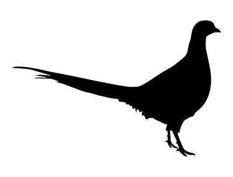 Pheasant silhouette vector art Stock Illustration