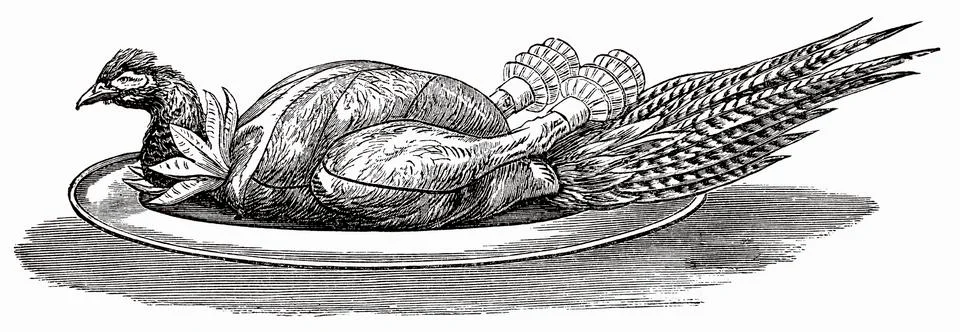 Pheasant on silver platter (illustration) Illustrazione stock