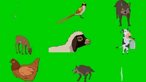 Pheasant Wolf Deer Sheep Cow Hen Chick Magic Spell 2d animated cartoon Stock Footage 334703382