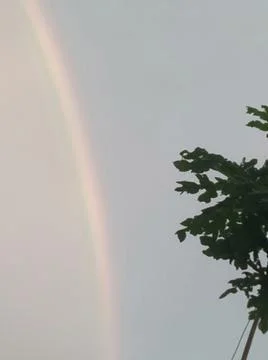 Phenomenal Stock Photos