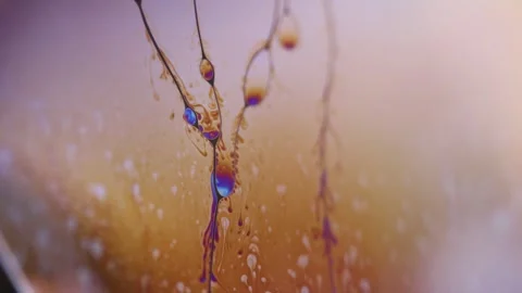 Phenomenal structure of liquid, viscous liquid Stock Footage 312118847
