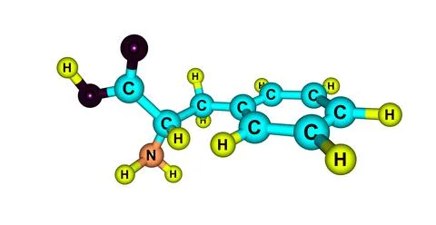 Phenylalanine molecular structure isolated on white Stock Illustration