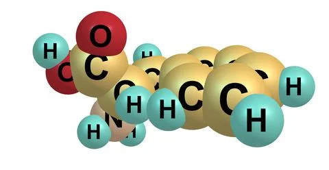 Phenylalanine molecular structure isolated on white Stock Illustration