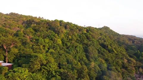 Phi Phi Don Beach, forest and homes at sunset, Thailand from drone 動画素材 327930131